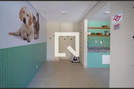 Apartamento para alugar com 35m², 2 quartos e sem vagaÁrea comum - Área Pet