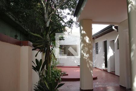 Casa à venda com 244m², 4 quartos e 2 vagasQuintal