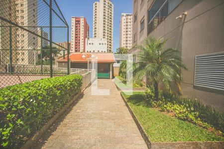 Apartamento para alugar com 70m², 2 quartos e 2 vagas Apartamento para alugar com 70m², 2 quartos e 2 vagasÁrea comum