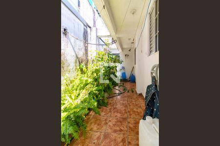 Casa à venda com 70m², 3 quartos e 2 vagas Casa à venda com 70m², 3 quartos e 2 vagasQuintal