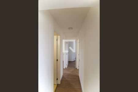 Corredor de apartamento para alugar com 3 quartos, 78m² em Vila Progredior, São Paulo