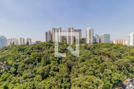 Apartamento à venda com 233m², 4 quartos e 4 vagasVista da Suíte 2