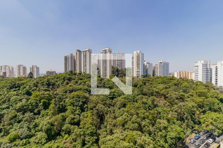 Apartamento à venda com 233m², 4 quartos e 4 vagasVista do Quarto 4