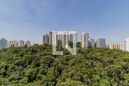 Apartamento à venda com 233m², 4 quartos e 4 vagasVista da Suíte 1