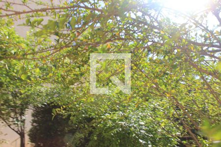 Apartamento à venda com 50m², 2 quartos e 1 vagaÁrea comum - Pomar