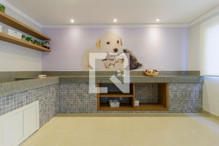 Apartamento para alugar com 32m², 2 quartos e sem vagaPet Place