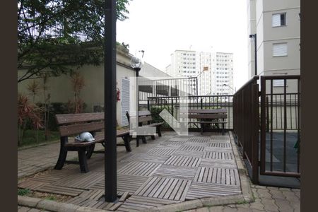 Área comum  de apartamento para alugar com 2 quartos, 44m² em Jardim Iris, São Paulo