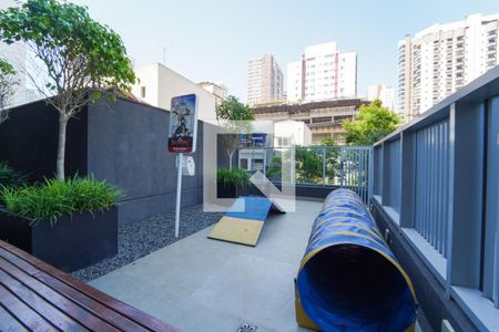 Studio para alugar com 26m², 1 quarto e sem vaga Studio para alugar com 26m², 1 quarto e sem vagaÁrea comum - Espaço pet