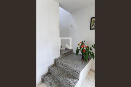 Casa à venda com 244m², 5 quartos e 3 vagasEscada