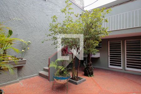 Casa à venda com 289m², 5 quartos e 7 vagasQuintal