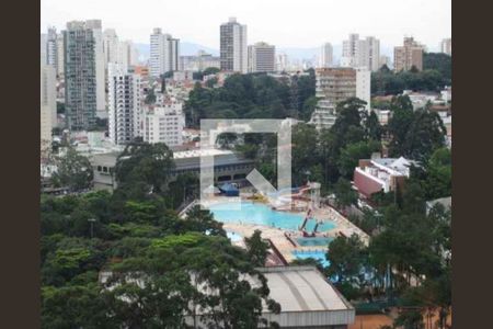 Apartamento à venda com 224m², 4 quartos e 4 vagasFoto 07