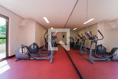 Apartamento para alugar com 70m², 1 quarto e 2 vagas Apartamento para alugar com 70m², 1 quarto e 2 vagasÁrea comum - Academia