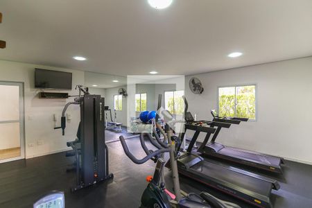 Área comum - Academia de apartamento para alugar com 2 quartos, 70m² em Vila Suzana, São Paulo