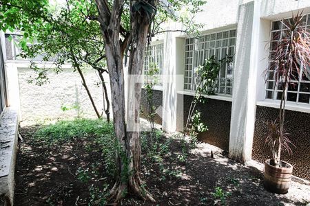 Casa à venda com 230m², 3 quartos e 3 vagasJardim