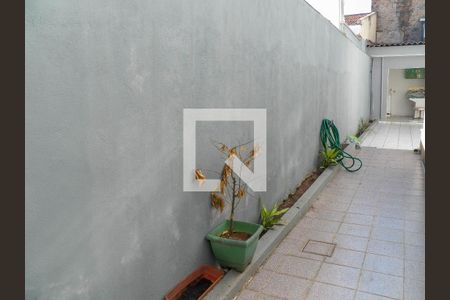 Casa à venda com 240m², 3 quartos e 2 vagasÁrea Externa