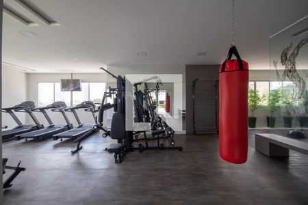 Apartamento à venda com 111m², 2 quartos e 2 vagas Apartamento à venda com 111m², 2 quartos e 2 vagasÁrea comum - Academia