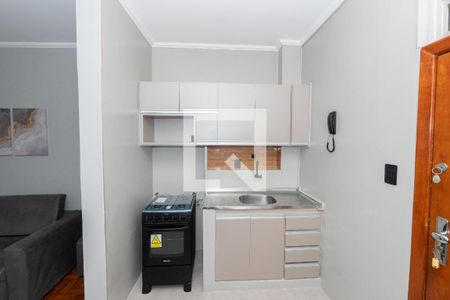 Cozinha de apartamento para alugar com 1 quarto, 54m² em Centro Histórico de São Paulo, São Paulo