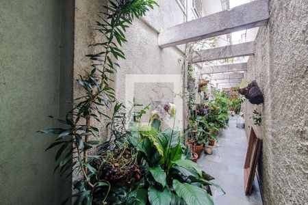 Casa à venda com 125m², 4 quartos e 3 vagas Casa à venda com 125m², 4 quartos e 3 vagasJardim