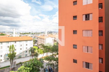 Apartamento para alugar com 72m², 3 quartos e 2 vagas Apartamento para alugar com 72m², 3 quartos e 2 vagasVista do Quarto 2