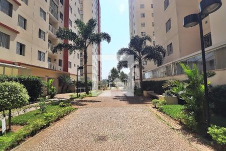 Apartamento para alugar com 67m², 3 quartos e 1 vagaÁrea comum