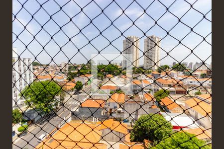 Área de Serviço - Vista de apartamento para alugar com 2 quartos, 48m² em Vila Bertioga, São Paulo