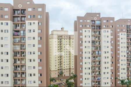Apartamento à venda com 67m², 3 quartos e 1 vaga Apartamento à venda com 67m², 3 quartos e 1 vagaVista do Quarto 1