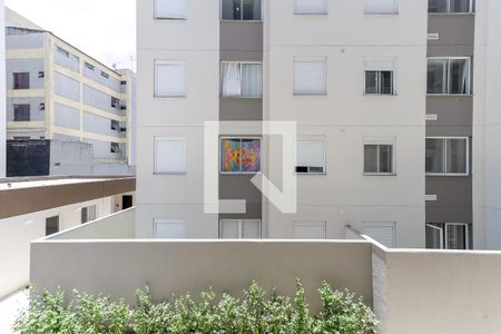 Vista de apartamento para alugar com 1 quarto, 38m² em Vila Guilherme, São Paulo