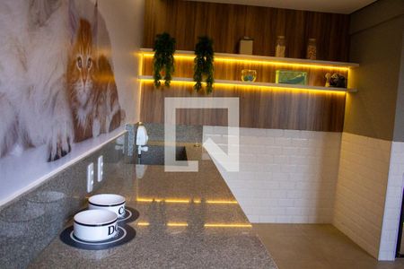 Apartamento para alugar com 30m², 1 quarto e sem vaga Apartamento para alugar com 30m², 1 quarto e sem vagaPetcare