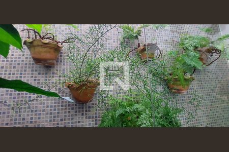 Casa à venda com 227m², 3 quartos e 2 vagasJardim de inverno