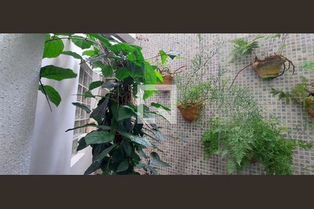 Casa à venda com 227m², 3 quartos e 2 vagasJardim de inverno