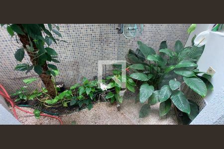 Casa à venda com 227m², 3 quartos e 2 vagasJardim de inverno