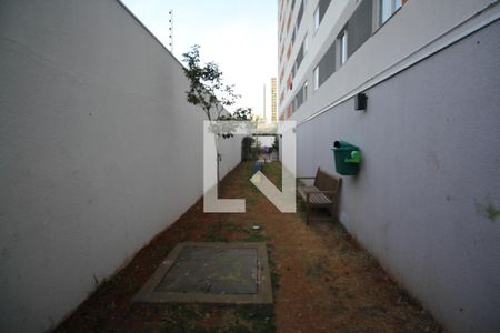 Apartamento para alugar com 35m², 2 quartos e sem vagaPet Place