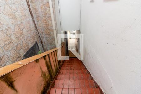 Casa para alugar com 260m², 3 quartos e 2 vagasQuintal