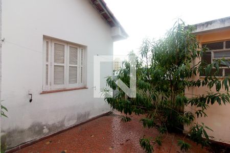 Casa para alugar com 260m², 3 quartos e 2 vagasQuintal