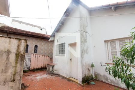 Casa para alugar com 260m², 3 quartos e 2 vagasQuintal