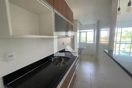 Cozinha de apartamento para alugar com 2 quartos, 75m² em Jardim Primavera, Duque de Caxias