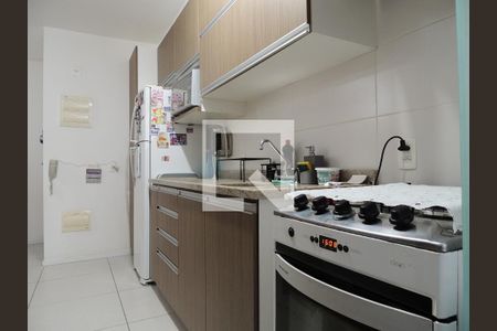 Apartamento à venda com 79m², 3 quartos e 1 vagaCozinha - Armários