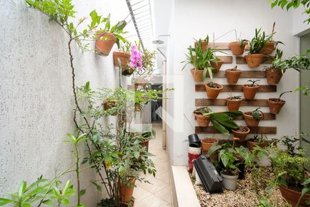 Casa à venda com 340m², 3 quartos e 3 vagasQuintal