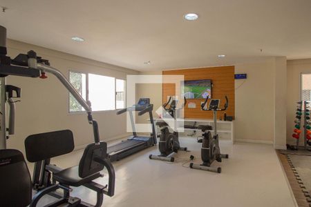 Apartamento à venda com 62m², 2 quartos e 1 vaga Apartamento à venda com 62m², 2 quartos e 1 vagaÁrea comum - Academia