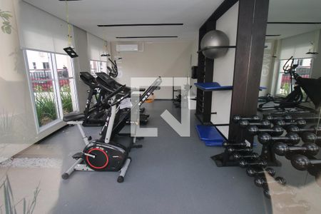 Área comum - Academia de apartamento para alugar com 2 quartos, 46m² em Ramos, Rio de Janeiro