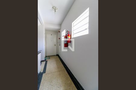Apartamento para alugar com 80m², 3 quartos e sem vagaHall
