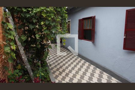 Casa à venda com 313m², 5 quartos e sem vagaQuintal