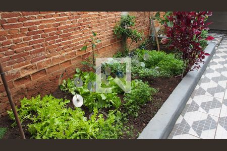 Casa à venda com 313m², 5 quartos e sem vagaHorta