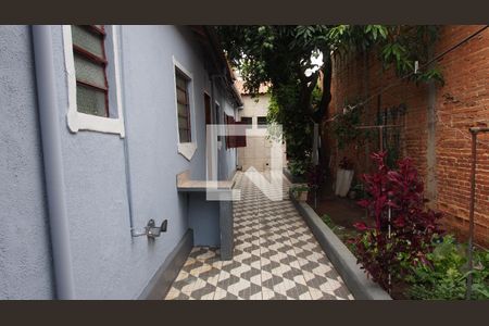 Casa à venda com 313m², 5 quartos e sem vagaQuintal