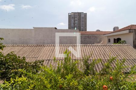 Vista do Quarto de casa para alugar com 1 quarto, 38m² em Chácara Califórnia, São Paulo