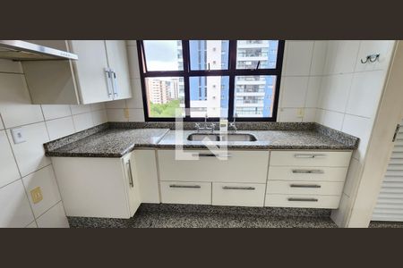 Apartamento para alugar com 200m², 4 quartos e 3 vagasCozinha - Armários