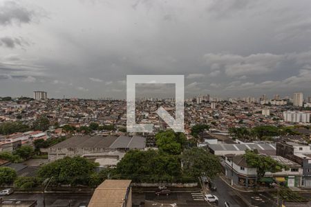 Studio de kitnet/studio para alugar com 1 quarto, 19m² em Vila Moraes, São Paulo