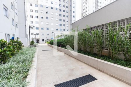 Área comum de apartamento para alugar com 2 quartos, 41m² em Vila Nova Cachoeirinha, São Paulo