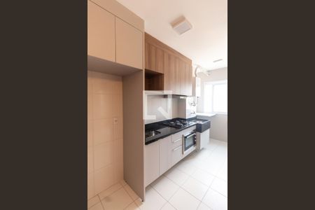 Cozinha de apartamento para alugar com 2 quartos, 41m² em Vila Nova Cachoeirinha, São Paulo