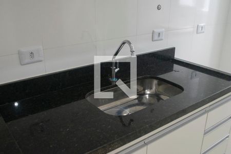 Pia de apartamento para alugar com 2 quartos, 44m² em Jardim São Paulo(zona Norte), São Paulo